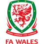 Wales U21